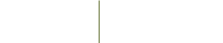 創健月亮公園AA級超均質 70坪國際宅